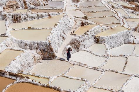 Las Salinas De Maras En El Valle Sagrado De Los Incas