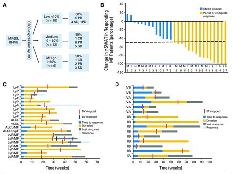 Responses To Brentuximab Vedotin BV In Patients A Clinical