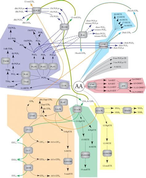 Thematic Review Series Proteomics An Integrated Omics Analysis Of