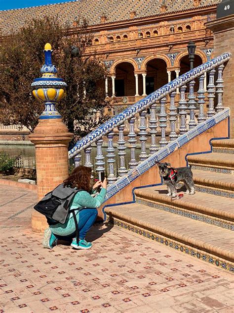 Sevilla con perro paseos y emociones en 3 días