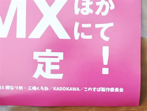 Yahooオークション B2ポスター 2枚セット（両面・片面） この素晴ら