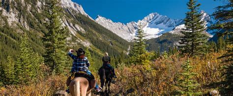 Horseback Riding in Banff | Discover Banff Tours