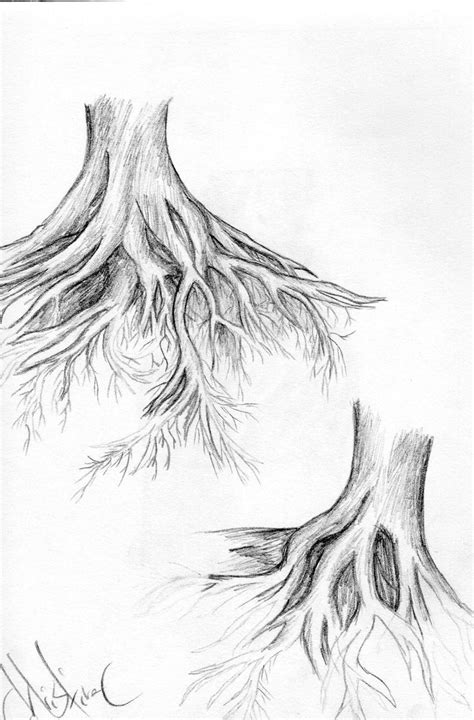 Artstation Tree Roots Christina Cavanaugh Tree Drawings Pencil