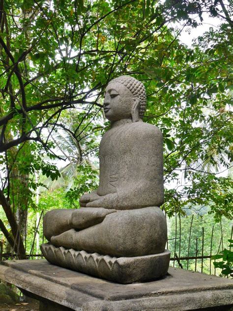 Estatua De Buddha Mulkirigala Templo De Rock Tangale Sri Lanka Imagen