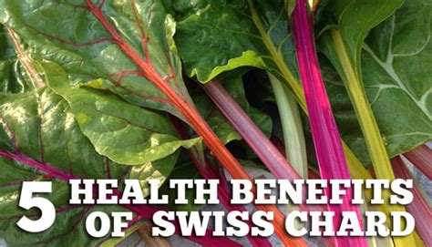 The 5 Health Benefits Of Eating Swiss Chard Obesityhelp