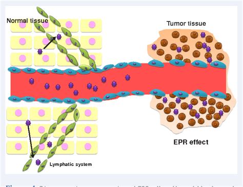 Figure From Enhanced Permeability And Retention Epr Effect Based