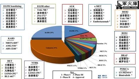 非小细胞肺癌nsclc靶向药物系列 Egfr抑制剂 药时代drugtimes