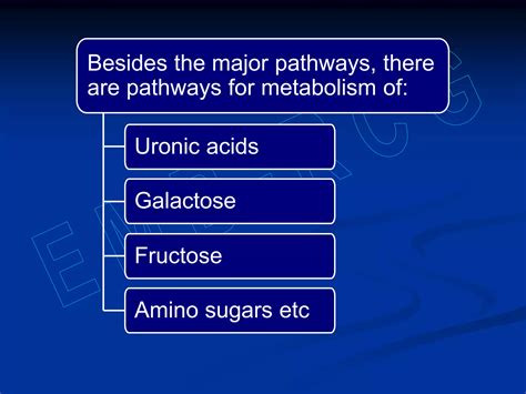 Carbohydrate Metabolism Minor Pathways Ppt