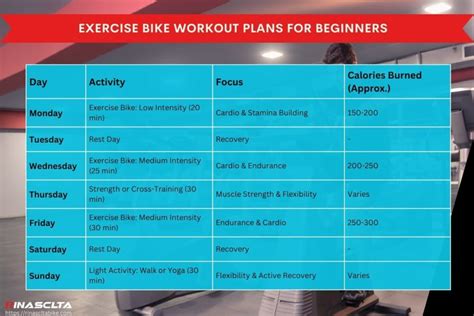 12 Benefits of Exercise bike: types, differences and workout plan