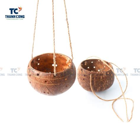 Coconut Shell Hanging Planter Tccp