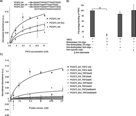 Binding Of Trf To The G Quadruplex Structure A Trf Binds To The