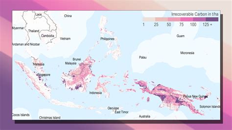 This map shows exactly where the world's most important carbon is stor
