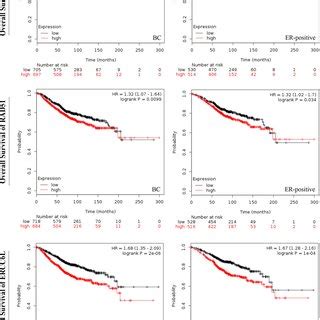 RAD51 Was An Indicator Of Poor Survival And AI Resistance In Breast