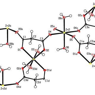 a The molecular structure of [[Zn(H2O)2(Zn(mal)2(H2O)2]n | Download ...