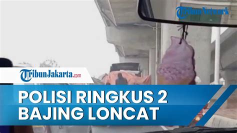 Polisi Berhasil Ringkus 2 Bajing Loncat Seusai Video Muatan Truk Dicuri