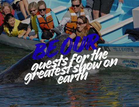 Gray Whale Season in Magdalena Bay – Palapas Ventana