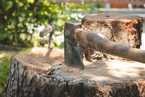 Tool For Splitting Wood Stuck In A Tree Stump An Ancient Homemade Axe