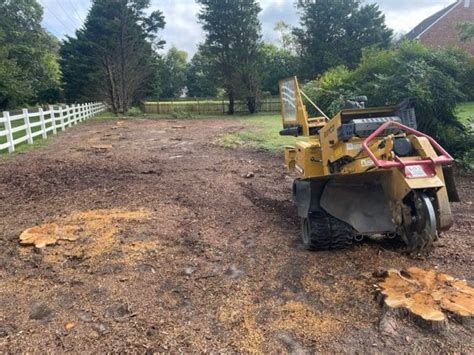 Stumped? We Grind 'Em! Pro Stump Removal - Conner Tree Services