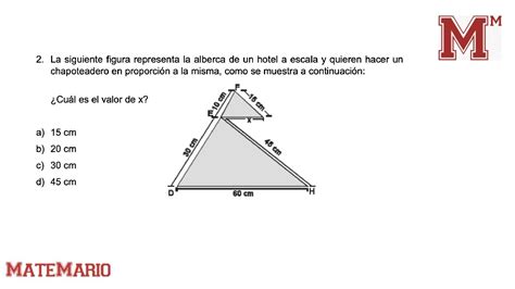 EXAMEN PLANEA La Siguiente Figura Representa La Alberca De Un Hotel A