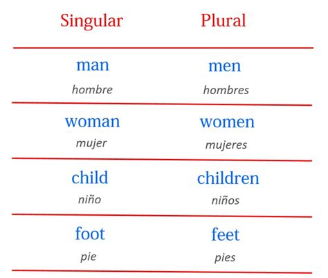 El Plural En Ingl S