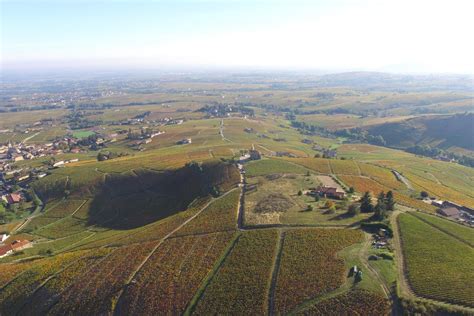 Terroirs where the Gamay grape gives its fullest expression in the finest Beaujolais appellation ...