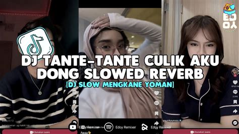 DJ TANTE TANTE CULIK AKU DONG DJ CAMPURAN SLOWED REVERB VIRAL TIKTOK