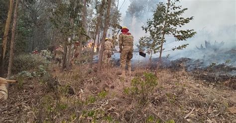 Incendios En El País Están “completamente Controlados” Asegura Defensa Civil El Alto Es Noticia