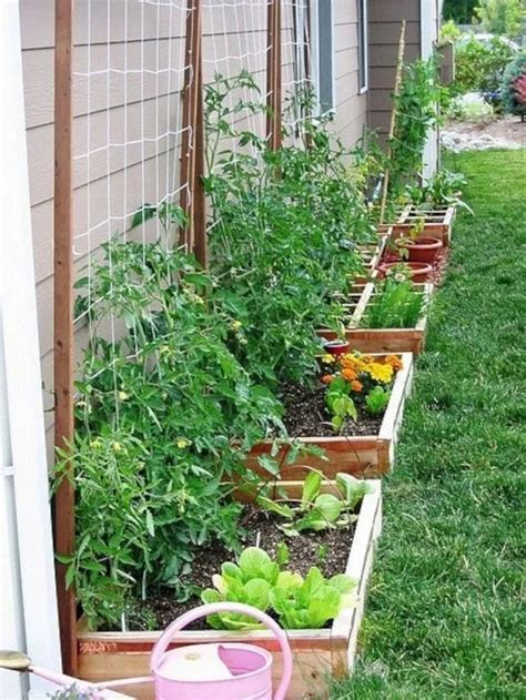 Cozy Small Vegetable Garden Ideas On A Budget Fresh Home