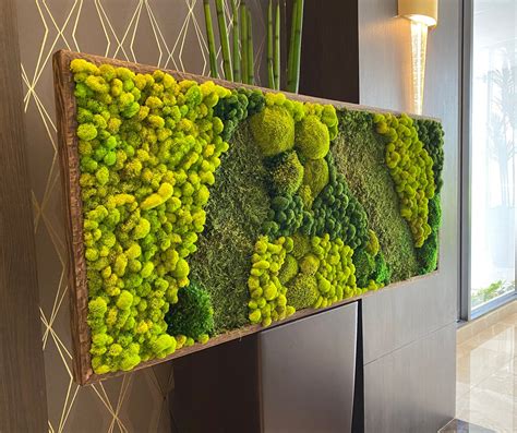 Moss Wall Art Large Moss Frame Green Wall Art Wall Decor Etsy