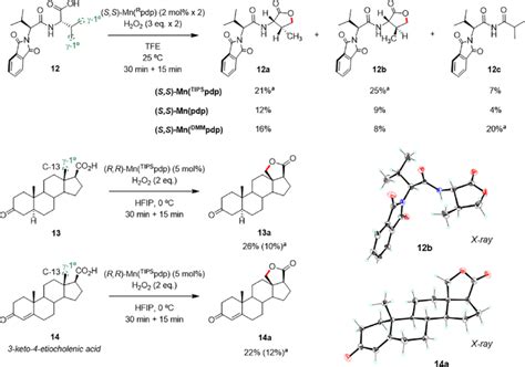 γ C−h Lactonization Of Primary C−h Bonds In Complex Substrates Yields