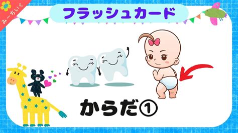 【知育動画】語彙力up フラッシュカードでからだの名前①を覚えよう 0歳 1歳 2歳 3歳 4歳 5歳 Youtube