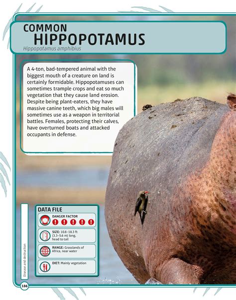 Nature’s Deadliest Creatures Visual Encyclopedia - THE MANTHAN SCHOOL