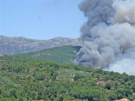 incendios archivos fundacion biodiversidad