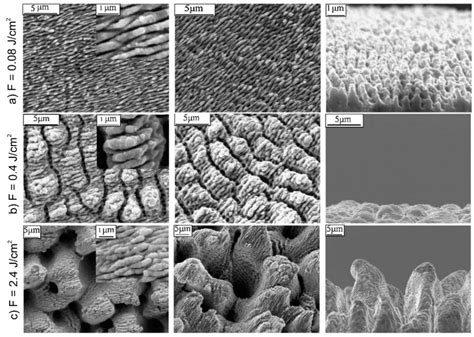 Materials | Special Issue : Bioinspired and Biomimetic Materials