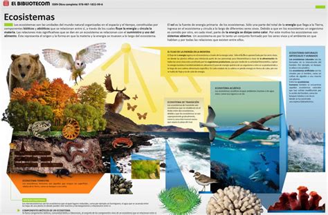 Im Genes E Infograf As En Ecosistemas Ovacen