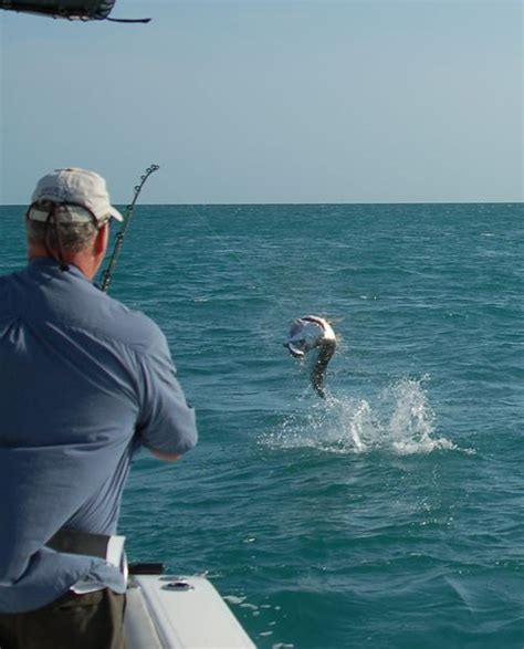 Marathon - Florida Keys Fishing Report