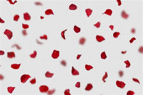 Rose Petal Photoshop Overlays Red Rose Petals Etsy