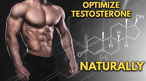 How To Optimize Your Natural Testosterone Levels Youtube