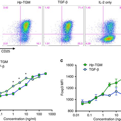 Hp Tgm Induces Foxp Expression In Human T Cells Ac Human Peripheral