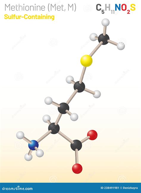 Methionine Met M Amino Acid Molecule Chemical Formula C H No S