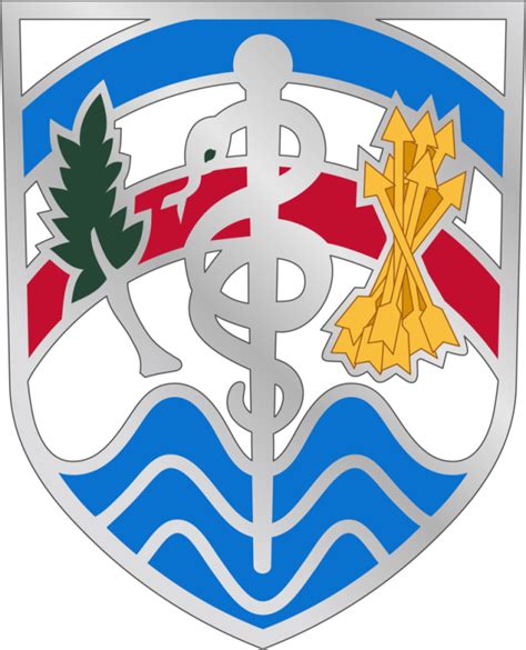 Coat Of Arms Crest Of Us Army Medical Readiness Command Atlantic