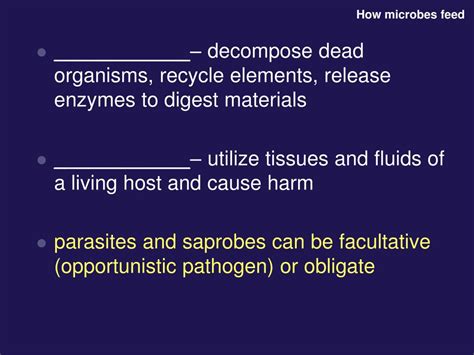 Ppt Elements Of Microbial Nutrition Ecology And Growth Chapter