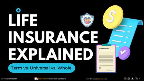 Life Insurance 101 Term Vs Universal Vs Whole Explained