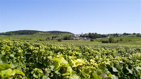 MONTHELIE Beaune e a região de Beaune Turismo Borgonha