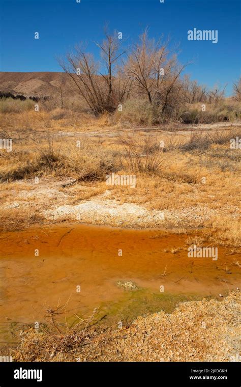 Mojave River, Afton Canyon Natural Area, California Stock Photo - Alamy