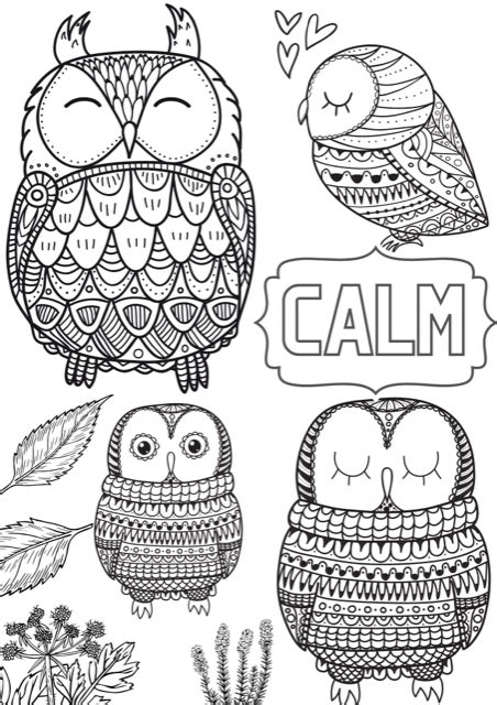 24 Mindfulness Colouring Sheets