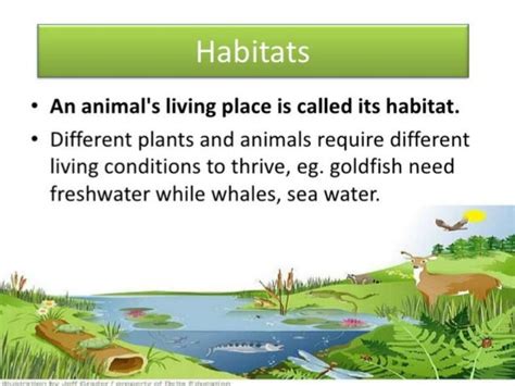 Freshwater Habitat