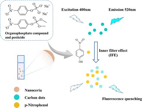 使用纳米氧化铈作为磷酸酶模拟物和对碳纳米点的内部过滤效应的农药和有机磷酸盐的荧光测定microchimica Acta X Mol