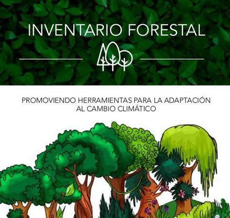 Cartilla Sobre Elaboraci N Participativa De Inventarios Forestales