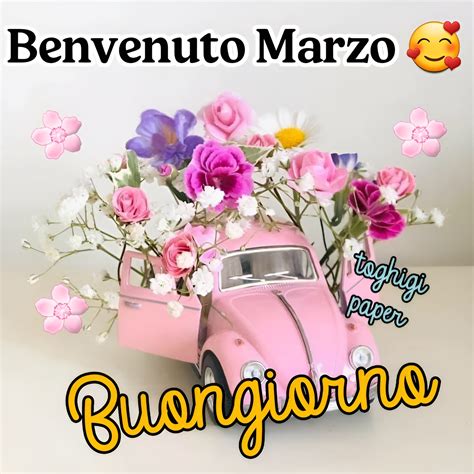 Benvenuto Marzo Toghigipaper